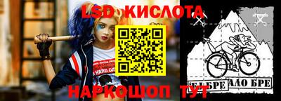 стаф Гай