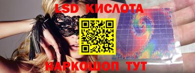 стаф Гай