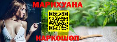 стаф Гай