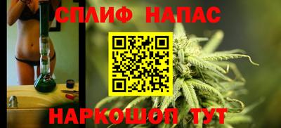 стаф Гай