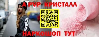 стаф Гай