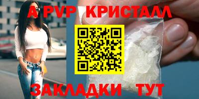 стаф Гай