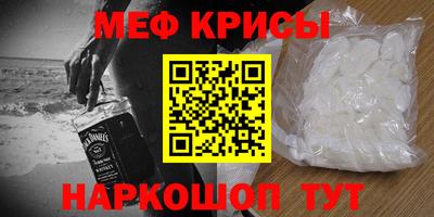стаф Гай