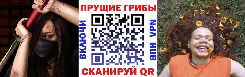 ссылка на мегу ССЫЛКА Дедовск Галлюциногенные грибы GOLDEN TEACHER
