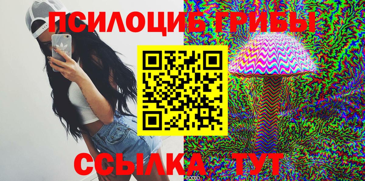 Дедовск  Галлюциногенные грибы ЛСД  Псилоцибиновые грибы Psilocybine cubensis  Вход с VPN 