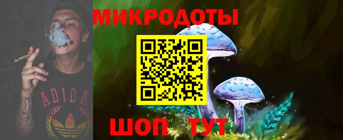 Псилоцибиновые грибы мицелий Дедовск