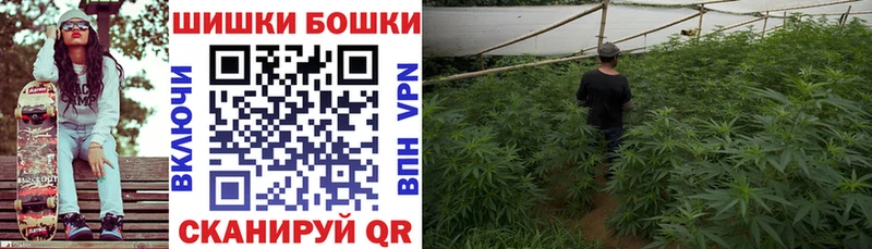 hydra   Дедовск  Канабис индика 
